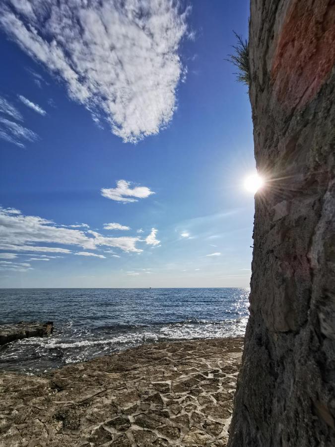Lora Deluxe Superior 5 Star Apartment, Your Piece Of Heaven By The Sea & Park With Sea & Park View Novigrad Istria Esterno foto