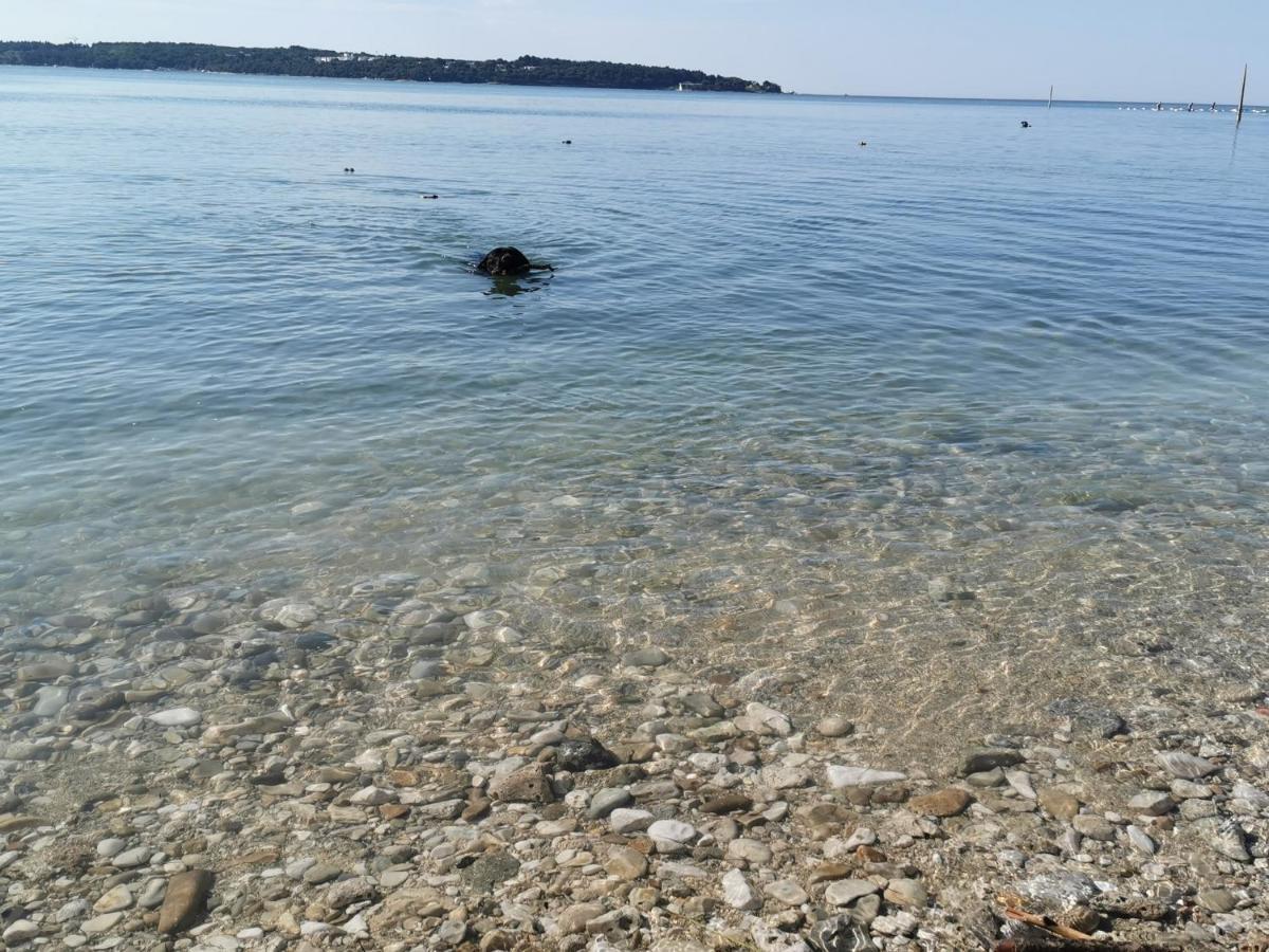Lora Deluxe Superior 5 Star Apartment, Your Piece Of Heaven By The Sea & Park With Sea & Park View Novigrad Istria Esterno foto