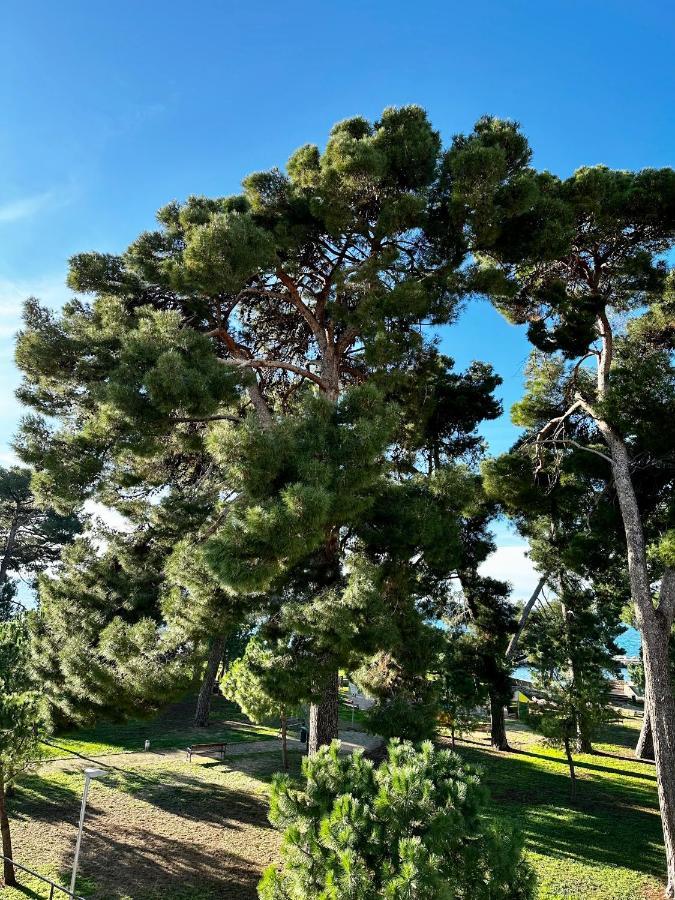 Lora Deluxe Superior 5 Star Apartment, Your Piece Of Heaven By The Sea & Park With Sea & Park View Novigrad Istria Esterno foto